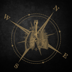 Lungey Northoff - Suitcaseys full of Scrambeledeggleton