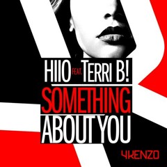 HIIO feat. Terri B - Something About You (D.O.N.S. Remix)