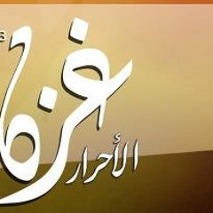 Free Gaza | غزة الأحرار
