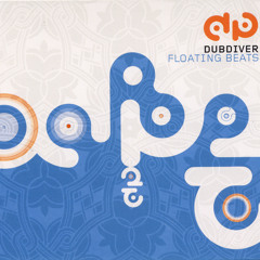 Shine (Dubdiver-Dinkel-Mix feat. Joe Cang)