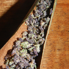 I'm Good [Beat by Kozu Nova]