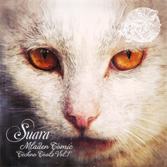 Mladen Tomic - Physical Level [Suara]