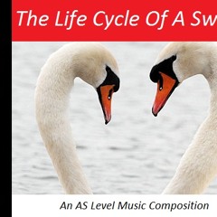 The Life Cycle of a Swan