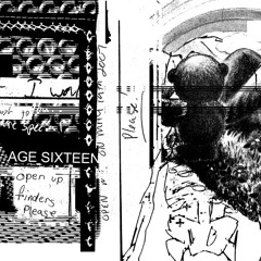 Age Sixteen - Fabric