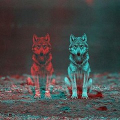 Howl and Moan- Your Devil Don't Mean a Thing (work in progress)