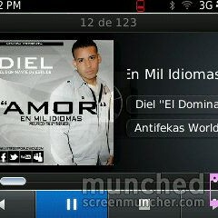 El Amor en mil idiomas master