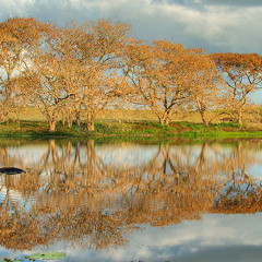 Blue River by Felipe Moreno