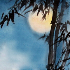 月朦朦，鸟朦朦 (The Misty Moon)