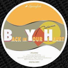 Pelerins - Back In Your Heart (Original Mix)