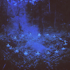 NT89 & Savile - Comb