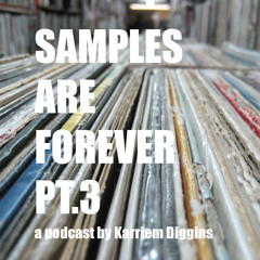 Samples are Forever 3 - first demo