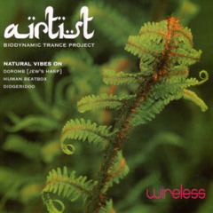 Airtist Remix Hardtek ( No industrial for this track:) )