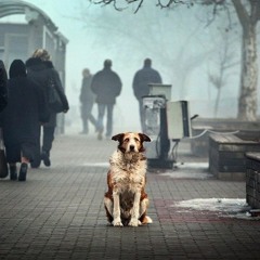 Grustnaja full (demo)