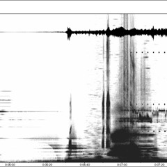 Arborescences (2008)