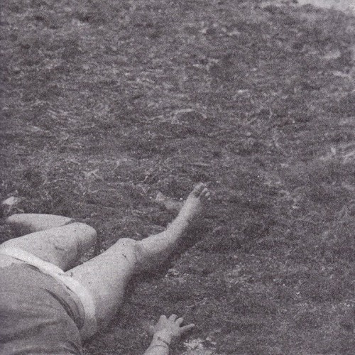 Algae — Plateau
