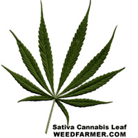 Z5ckj06omtatkm https soundcloud com larissabarbosa