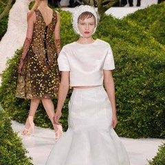 Christian Dior Haute Couture Spring / Summer 2013