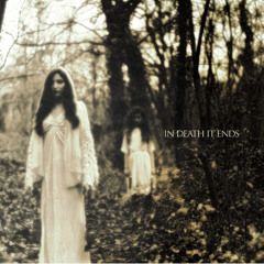[a+w lp001] IN DEATH IT ENDS - Disavow