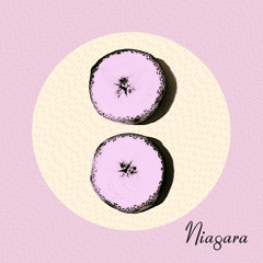 Niagara 'Seal and 'Etacarinae' from debut album 'Otto'