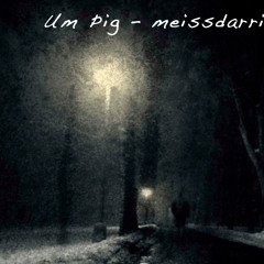 UM ÞiG - MEiSSDARRi