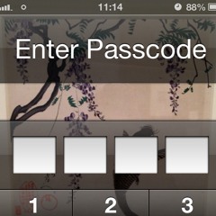 disconnect - Iphone recording at 18 sunningdale