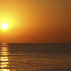 Platen & Clarks - Kailua (Original) 2008