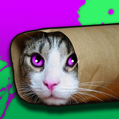 The Beat Gremlin - Minimal Pussyole Bootleg