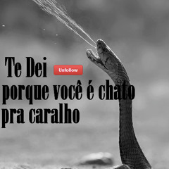 Te Dei Unfollow Porque Você É Chato Pra Caralho