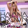 Havana Brown Feat. R3hab - Big Banana (Dave Aude Rmx)