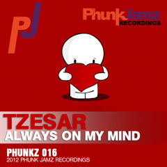 TZESAR - Always On My Mind (Original Mix)