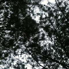 Sowing Season (Brand New)