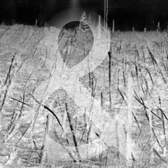 Tunguska