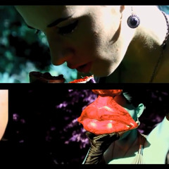 lushskull (cover of salem)