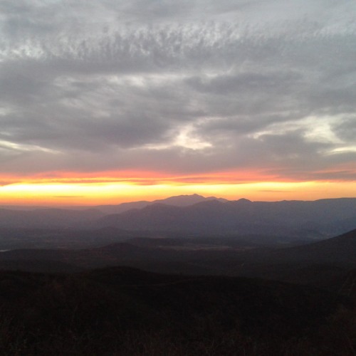 Brazos de sol. Alejandro Filio - por el Miguel INN