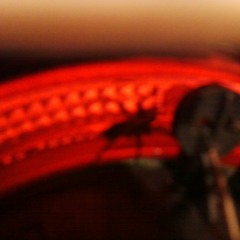Spider live in my keyboard