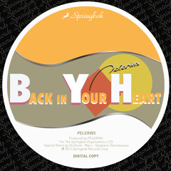 Pelerins - Back In Your Heart (Stéphane Deschezeaux Remix)