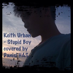 Keith Urban - Stupid boy covered by Daniel HAS