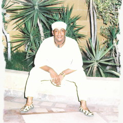 محسب الخولي
