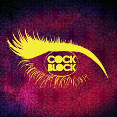 DJ Shiva - Live @ Cock Block (Portland, OR) 01.11.13