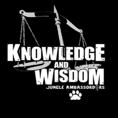 MY SOUND - ARIES & AMP GOLD REMIX(KnowledgeandWisdom)