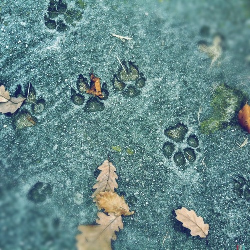 Temptation (Canson Remix)