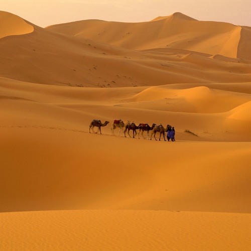 Dreams in dusty sands- 2M3LO