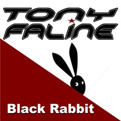 TonyFaline  Black Rabbit
