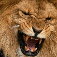 Merk, Mary, Molly (Beamer, Benzer, Bentley Remix)