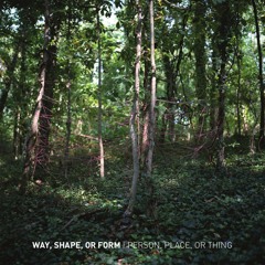 Person, Place, or Thing