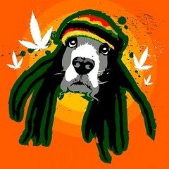 Riddim Mix