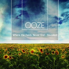 Ooze - Restricted Flow (Evan Marc Remix)