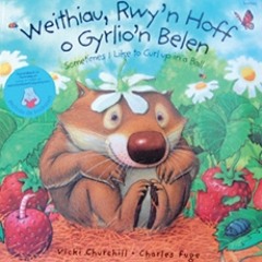 Weithiau rwy'n Hoff (North Welsh-English)