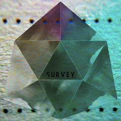 Survey - Podcast January 2013