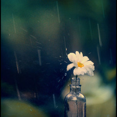 Ufa's Lullaby - A hidden Love